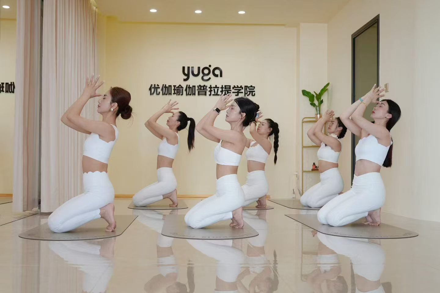 东北地区瑜伽教培市场数据:需求与供给分析